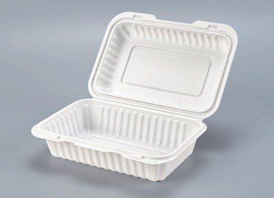 PP White Hinged Container with vent 9x6x2.8