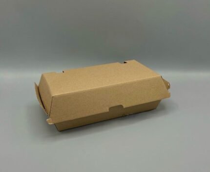 Corrugated Hinged Kraft Box