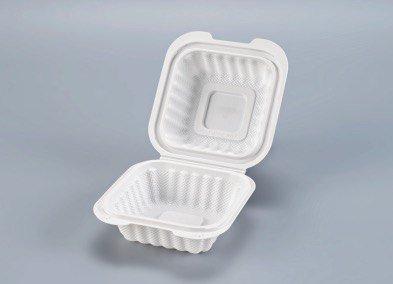 PP White Hinged Container 5x5x2.8