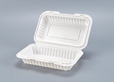 PP White Hinged Container 9x6x2.5