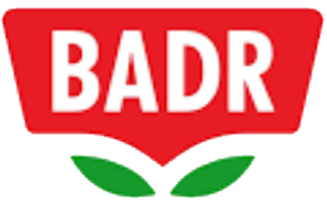 Sample 87 Badr