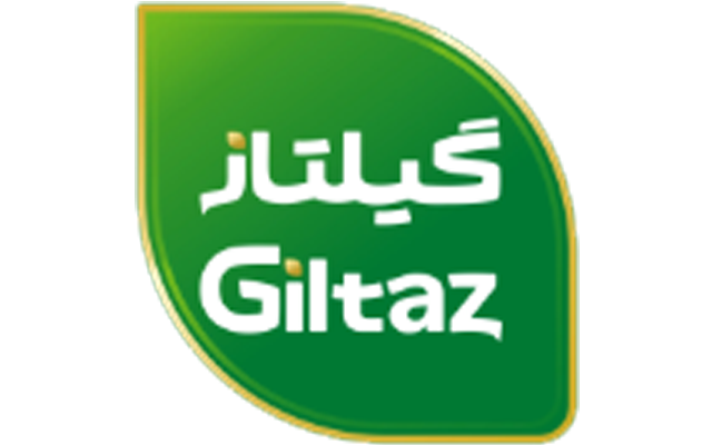 Sample 31 Giltaz