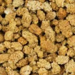 Dried Mulberries - Bulk - 1 lb