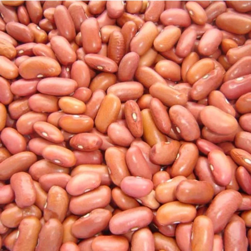 Light Red Kidney Beans - Bulk - 1 lb