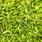 Pistachio Slivered - Bulk - 1 lb