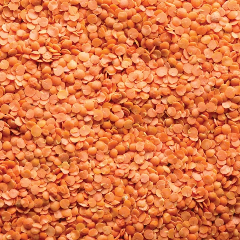 Red Split Lentils - Bulk - 1 lb