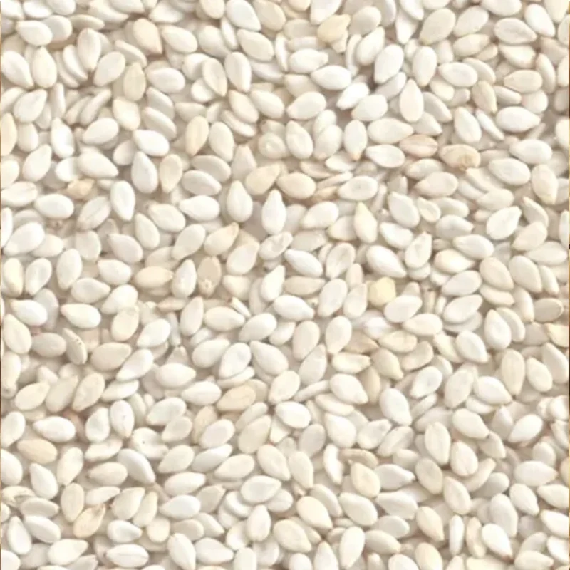 White Sesame seed - Bulk - 1 lb